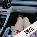 猜车：春天的气息