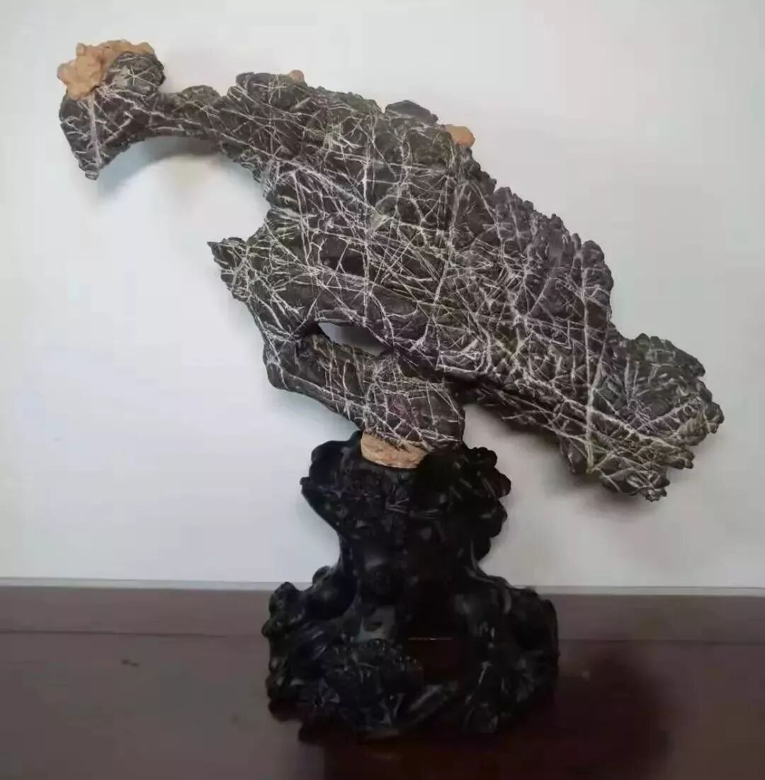 淄博家门口的奇石淄砚文化展!你没见过的都在这里了! - 好客山东网