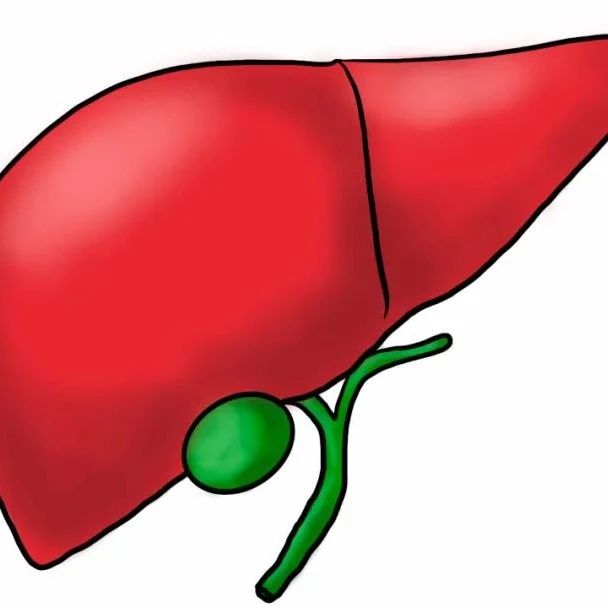 肝脏病变，4个“异常”是身体发出的“信号”，提醒该养肝了