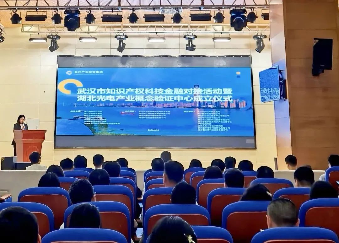 武汉市知识产权科技金融对接活动在光谷举办