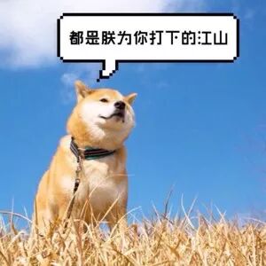 强大又好用的拍照类APP推荐：绝不仅仅是美图那么简单！