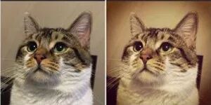 强大又好用的拍照类APP推荐：绝不仅仅是美图那么简单！