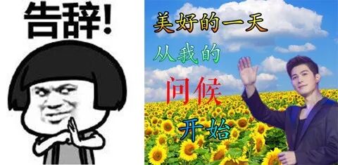 没有了表情包，我都不会聊天了！