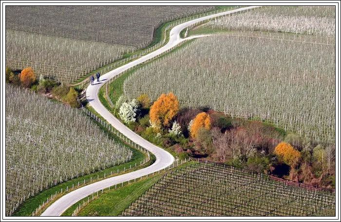 广西中职二加三学校好不好：飞翔是摆脱束缚的象征，自由而畅快，如同鸟儿在天空中翱翔。