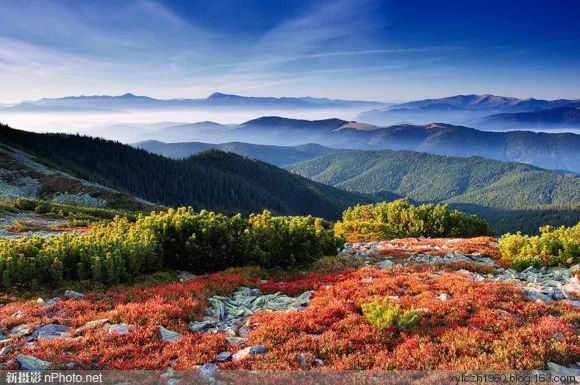 广西中职学校公用经费标准-职高有哪些专业就业前景好-读高职学校好吗