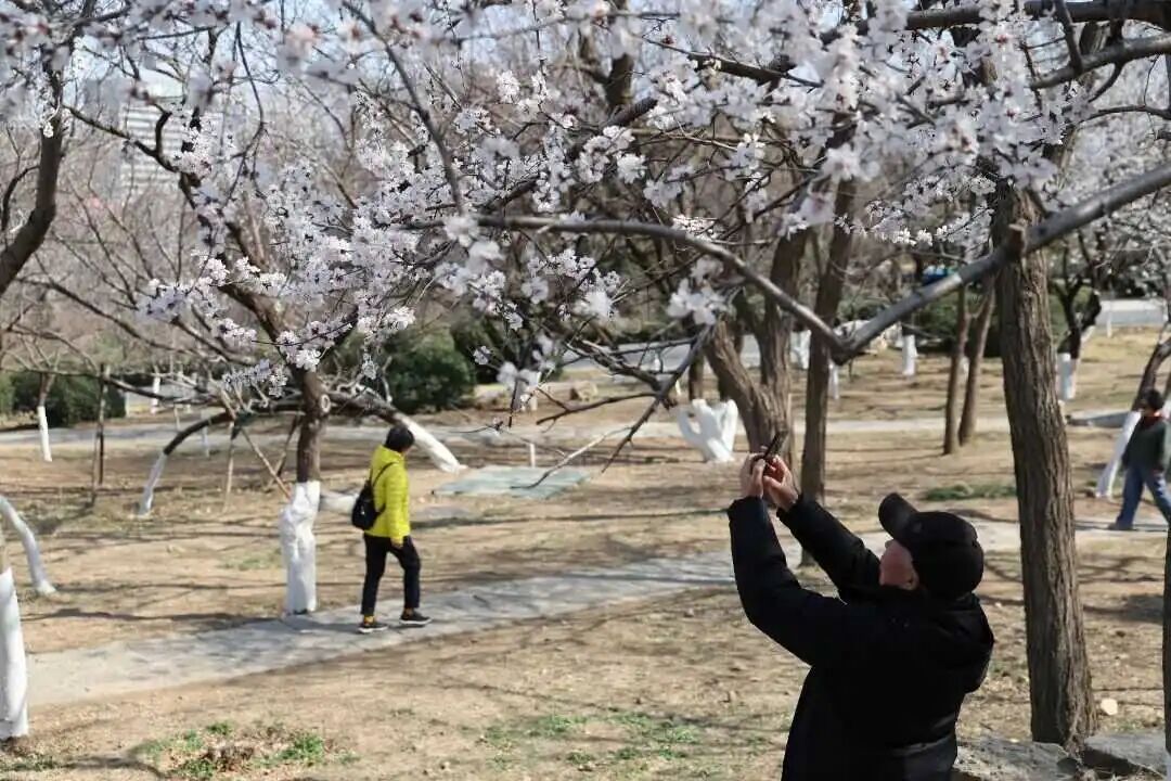 千佛山44.jpg