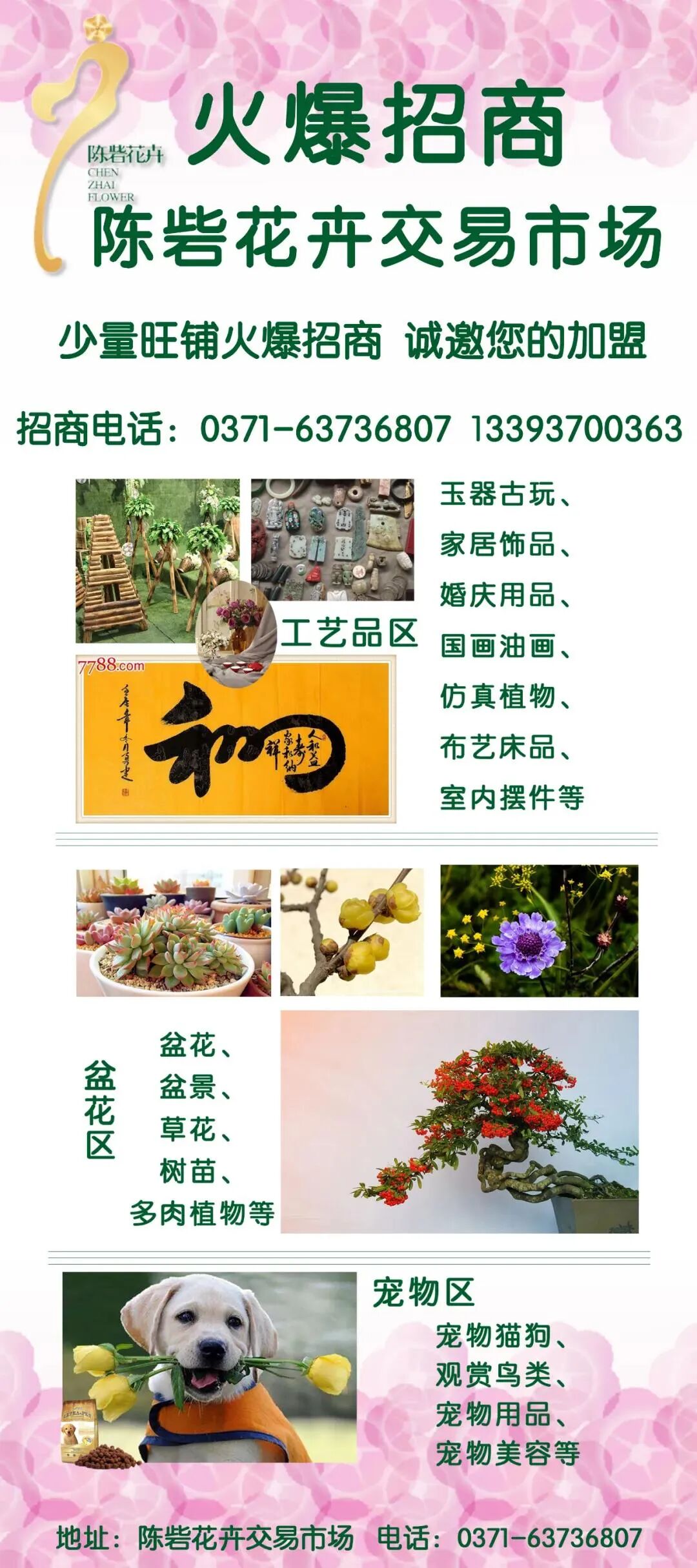 招财纳福，祥瑞珠宝