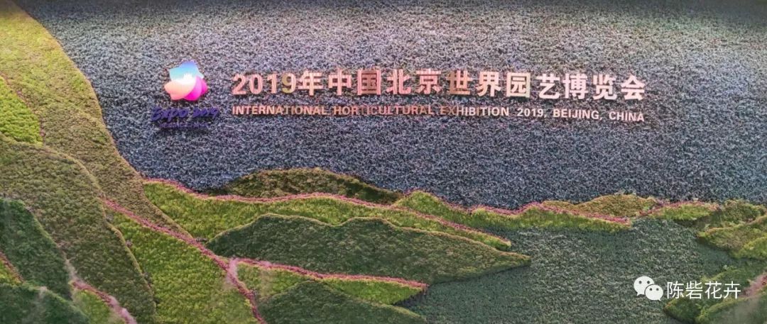 北京世园会|以历史底蕴为基,特色花卉为媒,打造出彩河南 北京世园会|以历史底蕴为基,特色花卉为媒,打造出彩河南