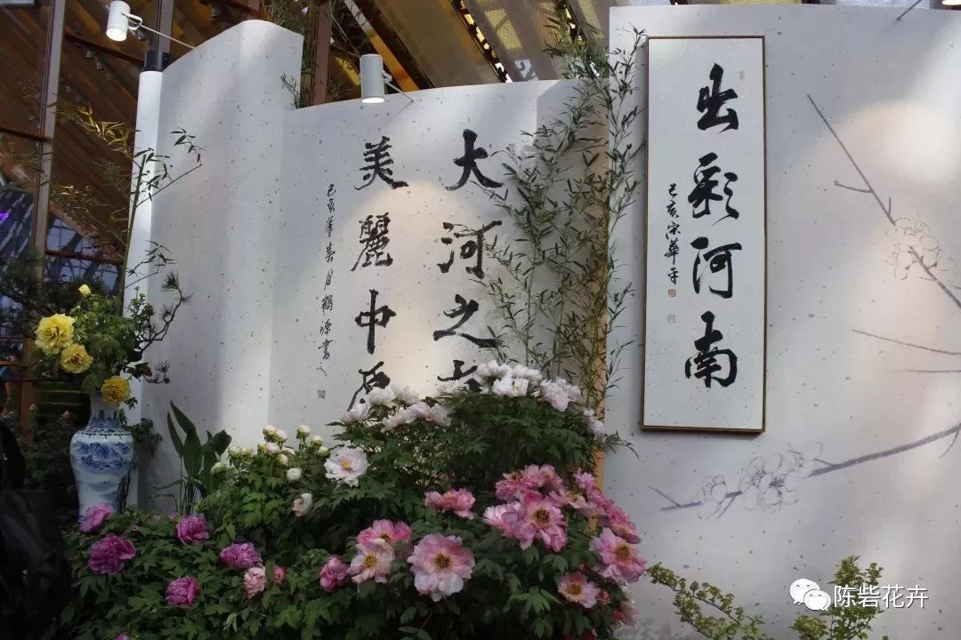 北京世园会|以历史底蕴为基,特色花卉为媒,打造出彩河南 北京世园会|以历史底蕴为基,特色花卉为媒,打造出彩河南