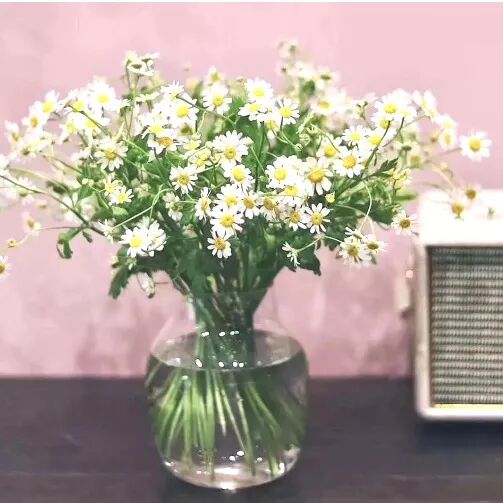 用小碎花打敗你 