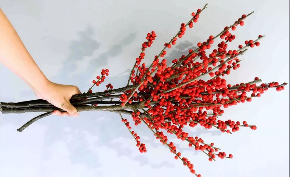 选一束鲜花，留一室馨香。