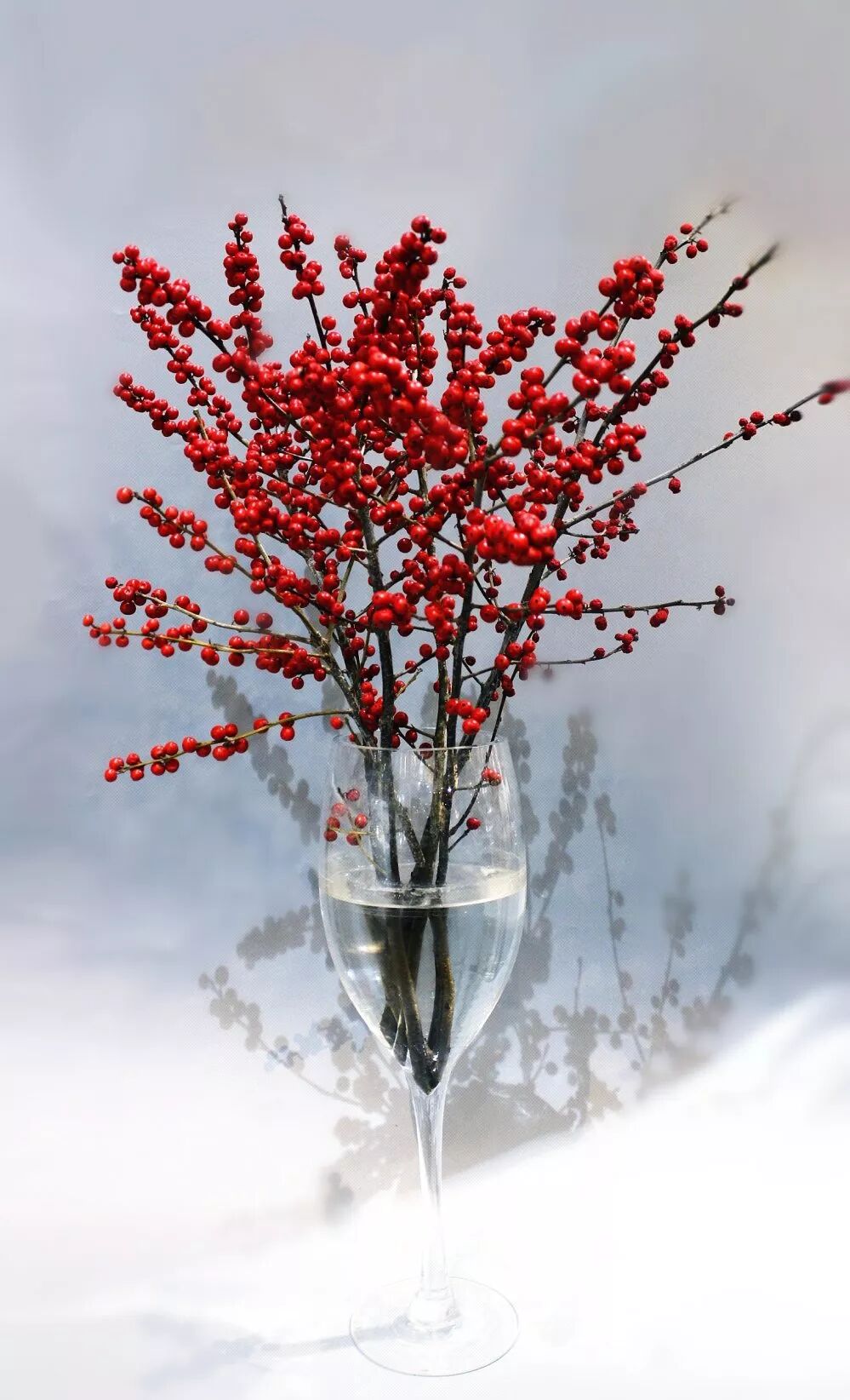 选一束鲜花，留一室馨香。