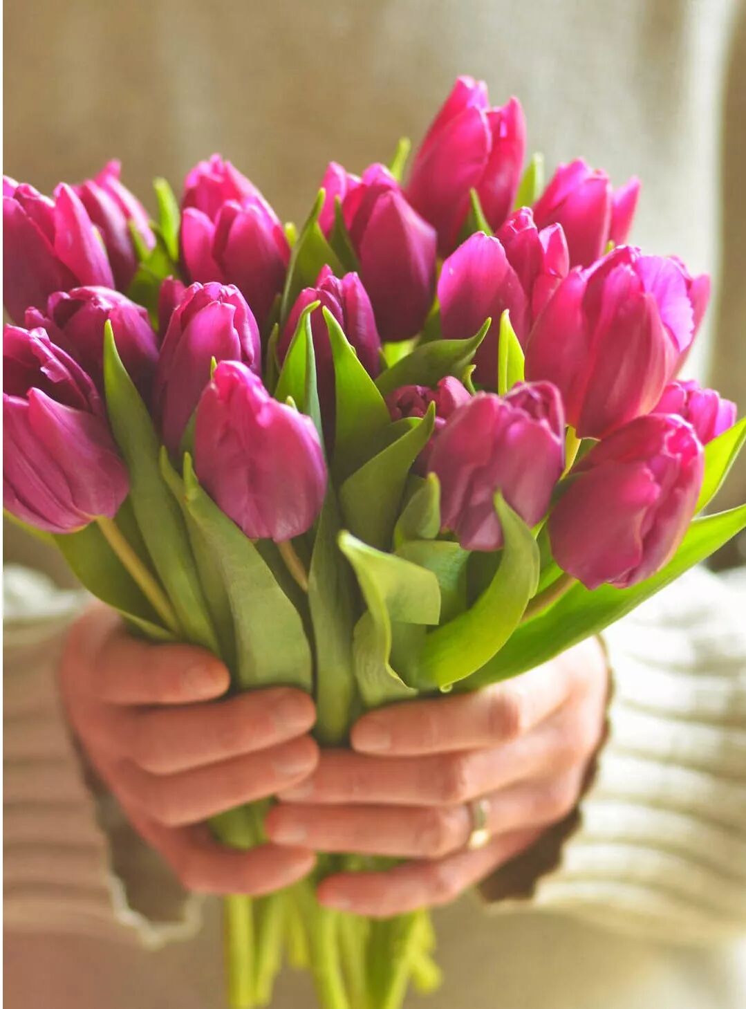 选一束鲜花，留一室馨香。