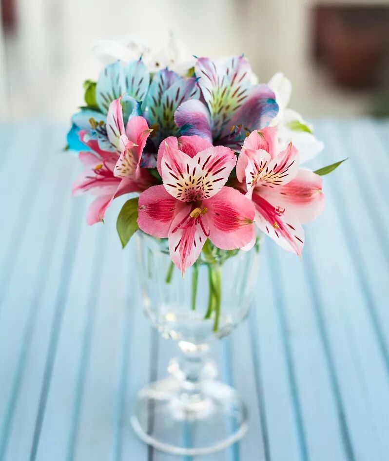 选一束鲜花，留一室馨香。