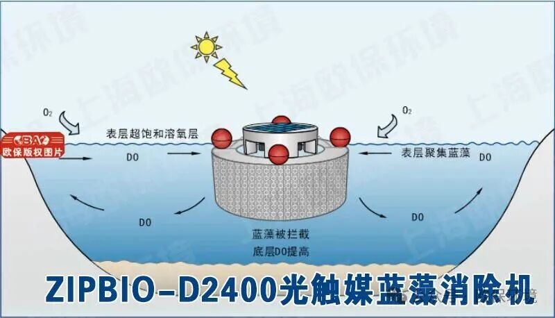 ZIPBIO-D2400光触媒蓝藻消除机净水原理