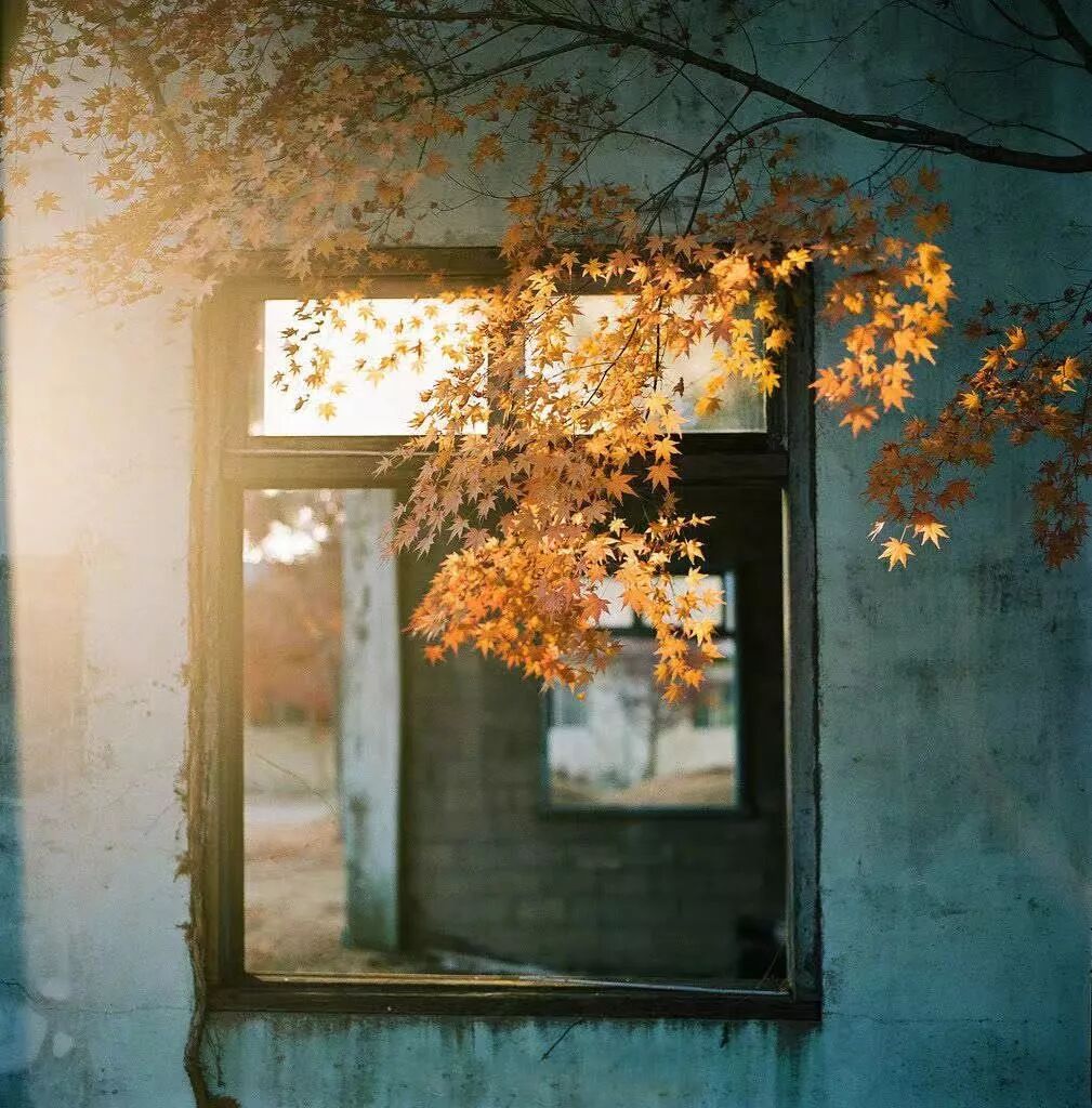 我们不做坏人，但要做个有城府的人