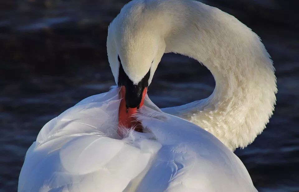 人生有三苦，熬过便幸福