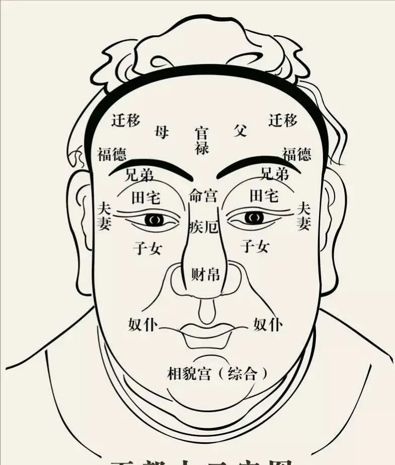 眉梢的位置图图片