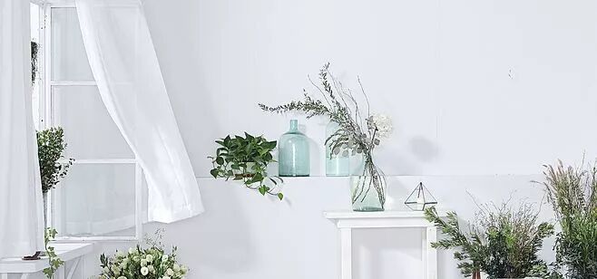 你保护好家中的“风水之眼”了吗？