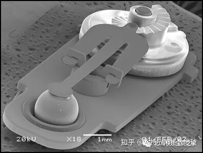 美敦力品牌怎么样各品牌脑室腹腔分流管类型收集及图例_https://www.jmylbn.com_新闻资讯_第10张