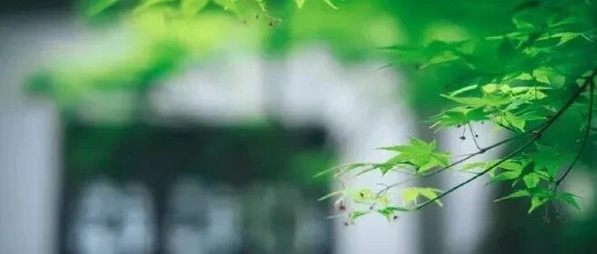 你可以不读《全唐诗》，但一定要背会这99句唐诗名句