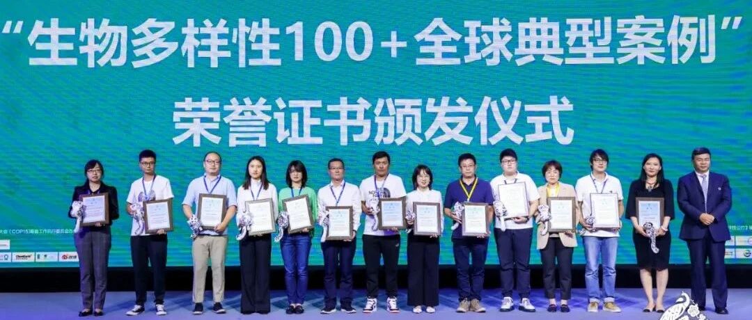 微软“地球人工智能计划”入选 “生物多样性100+全球特别推荐案例”