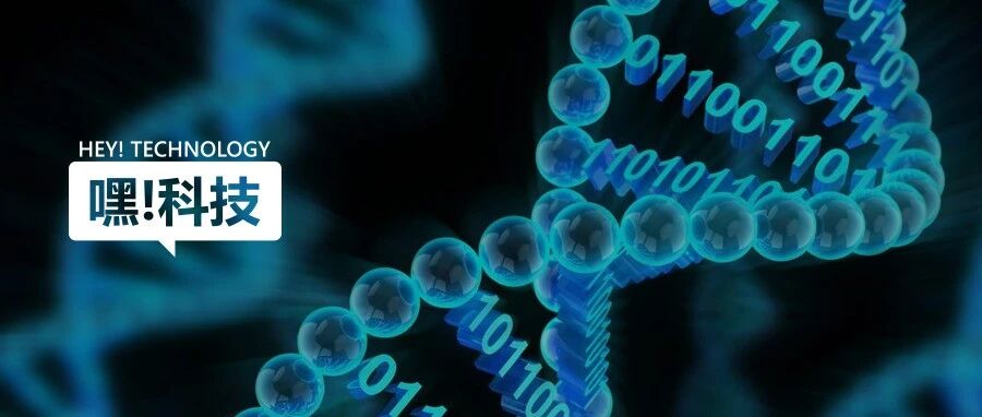 什么？微软研究院把数据信息存进了DNA！