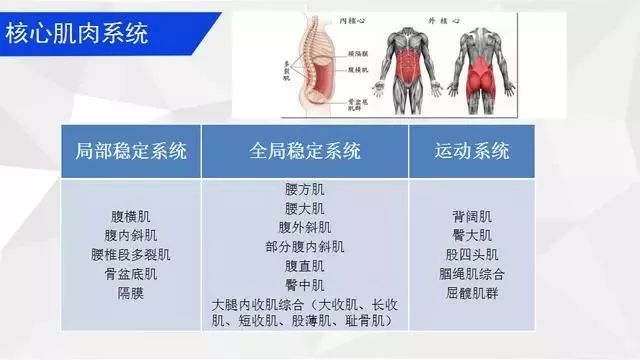 最全的腰部核心肌力訓練方法，從簡單到困難！ 健康 第3張