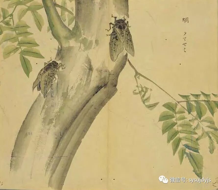 詩經 大雅 蕩 附注疏 解释 微信公众号文章阅读 Wemp