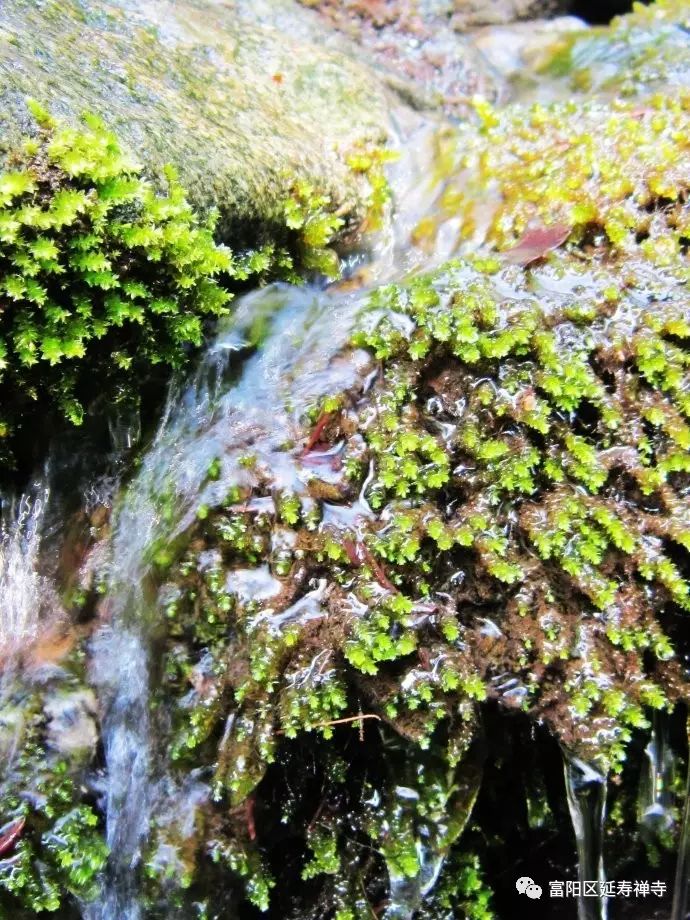 曹溪一滴水 遍复三千界—东山曹溪命名记