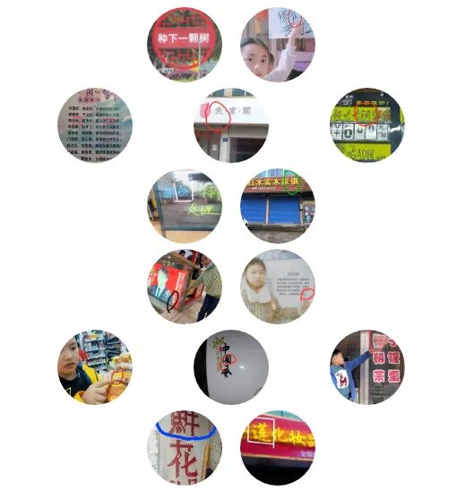 我爱你汉字研究报告 五年级语文综合实践活动《汉字我爱你》