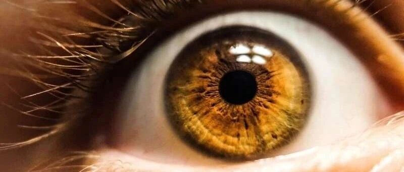 突破性的光学传感器模仿人眼感知更逼真