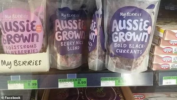 澳洲冷冻浆果价格是进口产品的三倍