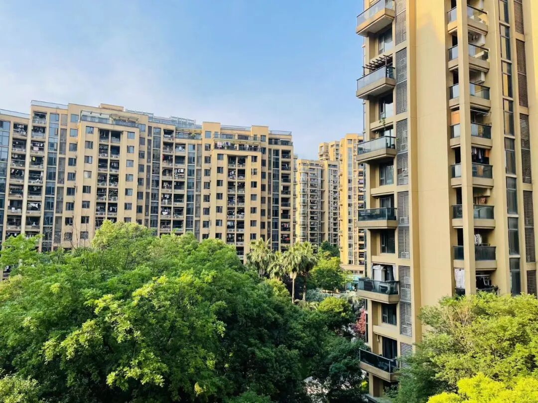 ����ĳС�������� ��