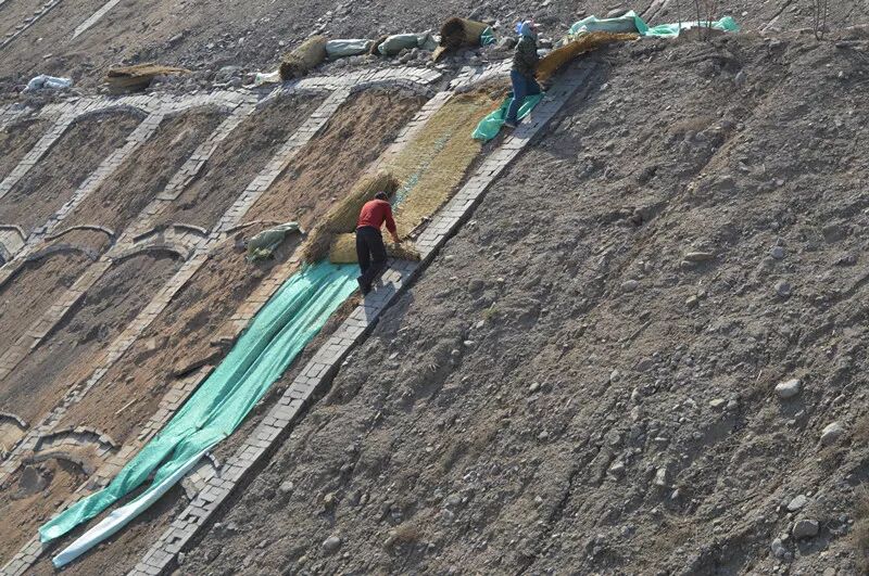 矿山修复的前世今生的图8