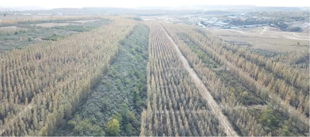 矿山修复的前世今生的图3