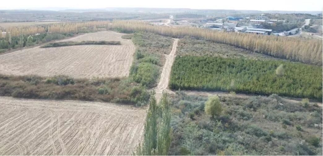 矿山修复的前世今生的图2