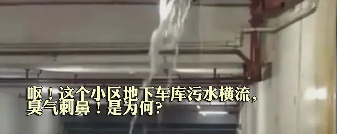 康怡星治疗仪多少钱专坑老年人！保健品骗局，查！_https://www.jmylbn.com_品牌排行榜_第10张