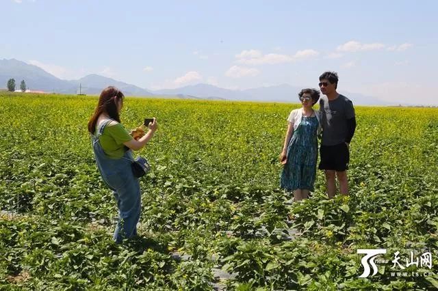 新疆15個地方擬入選全國鄉村旅遊重點村名錄！找找看有你的家鄉嗎？ 旅遊 第13張