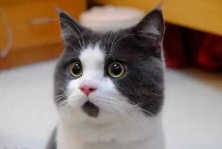 团委君听说这件事情的时候也是无比震惊的