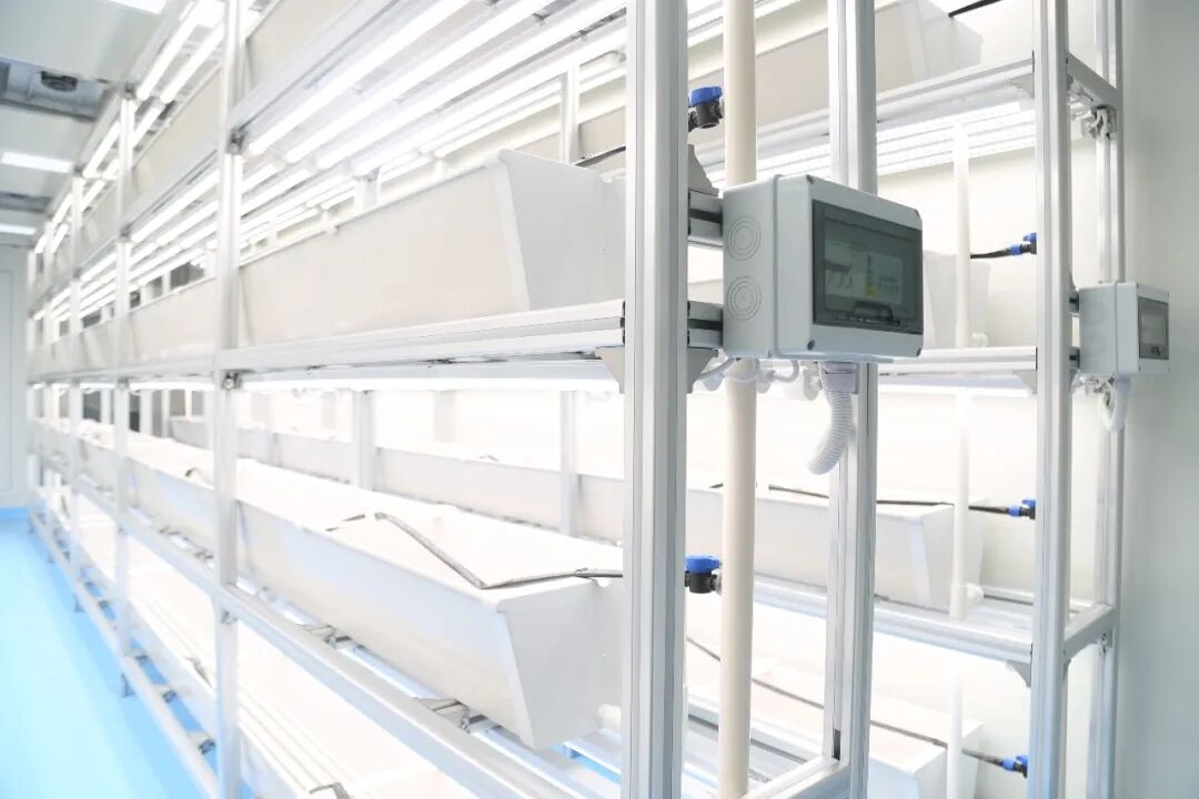 【交付速递】智慧人工气候蔬果种植舱—整装待发，助力果蔬种植产业升级