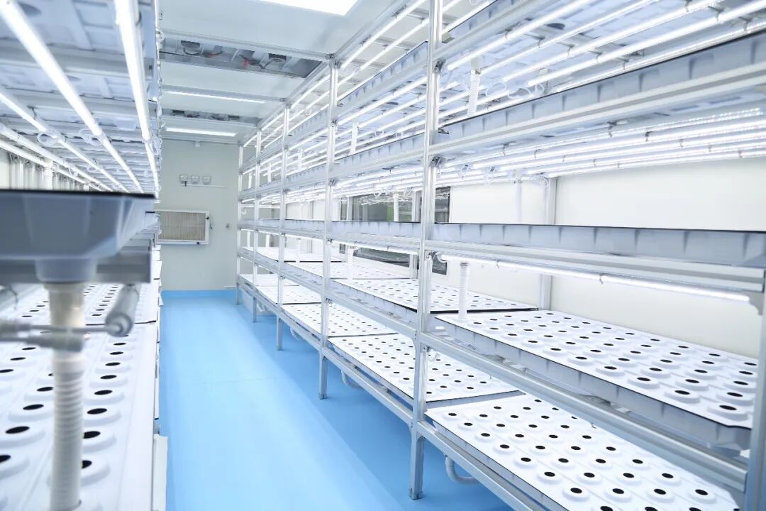 【交付速递】智慧人工气候蔬果种植舱—整装待发，助力果蔬种植产业升级