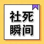 因为这些瞬间，我住上了别墅