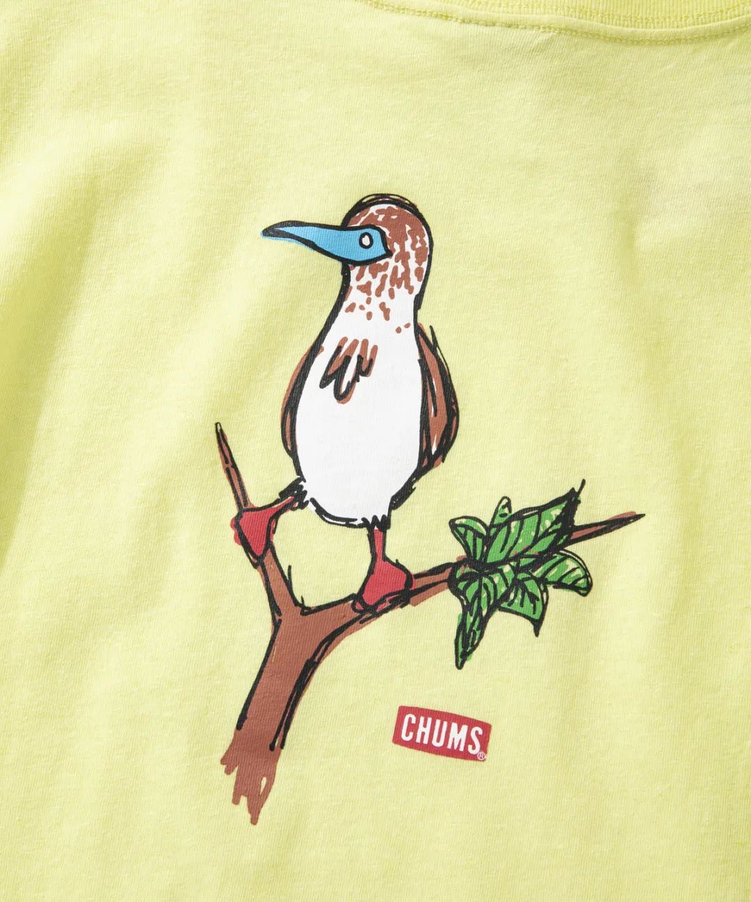 Chums洽洽鸟 新品上市丨booby背后的故事 一只从犹他州飞来的bird Chums洽洽鸟官方旗舰店