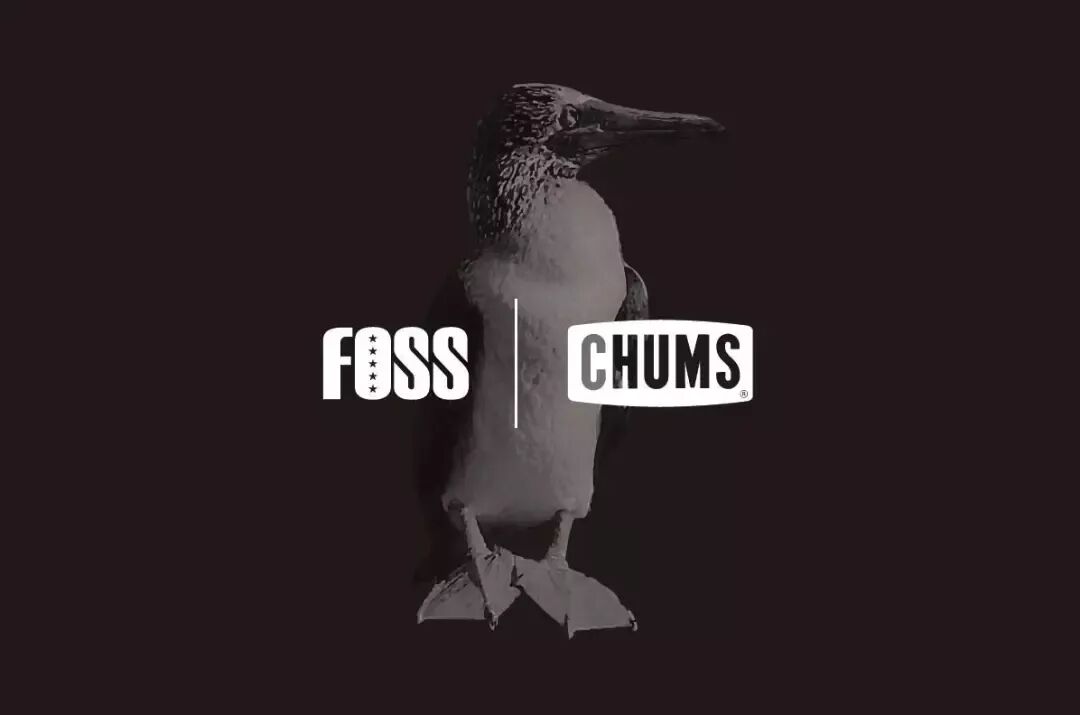 Chums洽洽鸟 Chums联手foss 向你施了一道神秘召唤术 Chums洽洽鸟官方旗舰店