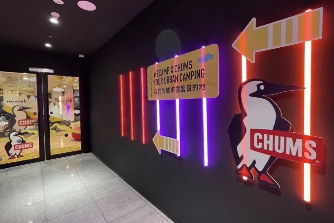 Chums洽洽鸟 Hang With Your Chums Wework站 Chums洽洽鸟官方旗舰店