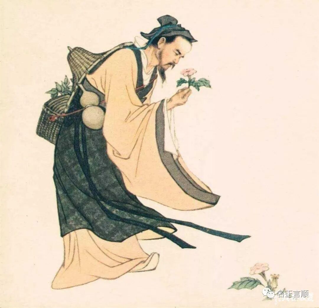 古城春望_佩特拉古城拉古城作_昭化古城和阆中古城