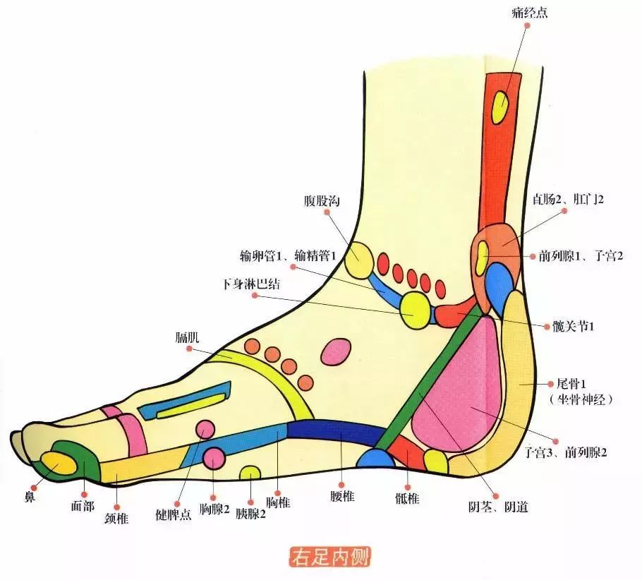 春捂秋冻护好脚踝