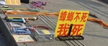 虽然蟑螂挺可恨的，但也不必这么狠[囧图时刻]