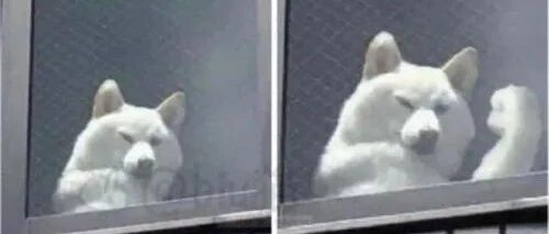 像你这样的我能打6个【囧图时刻】